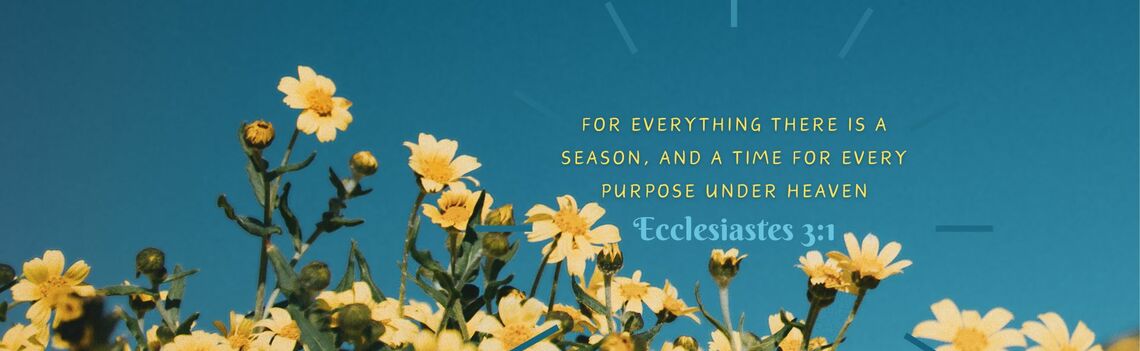 Leduc Alliance Church