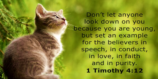 Grateful, Thankful, Blessed