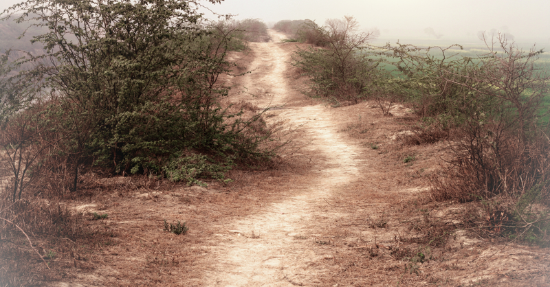 3rd Sunday of Easter