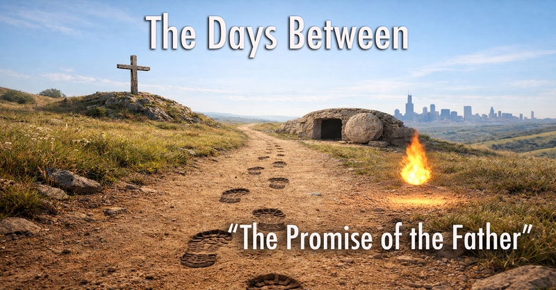 Series: The Days Between