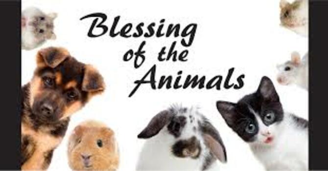 BLESSING OF THE ANIMALS
