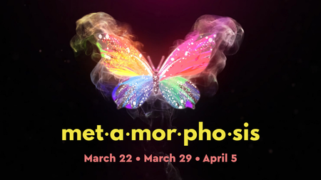 Metamorphosis