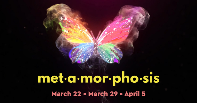 Metamorphosis