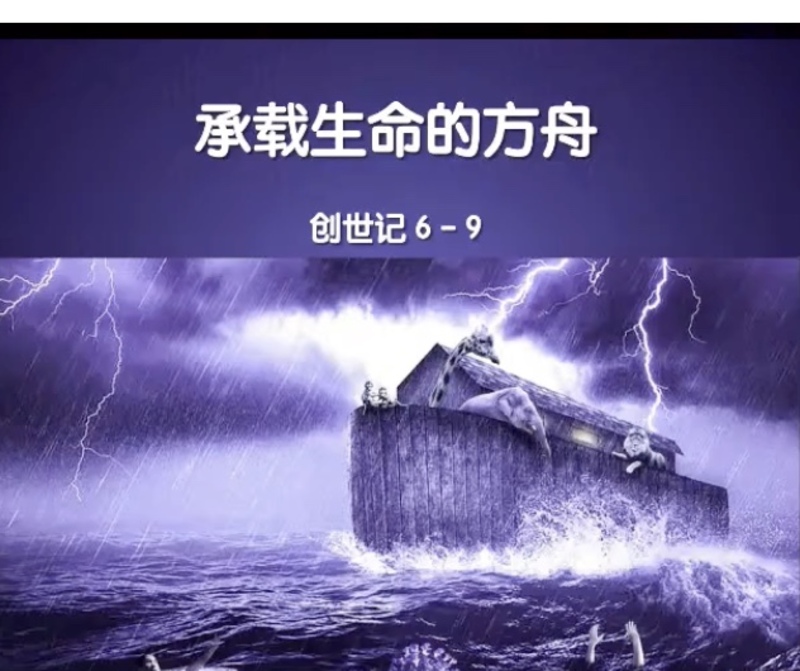 承载生命的方舟