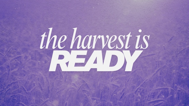 The Harvest is Ready