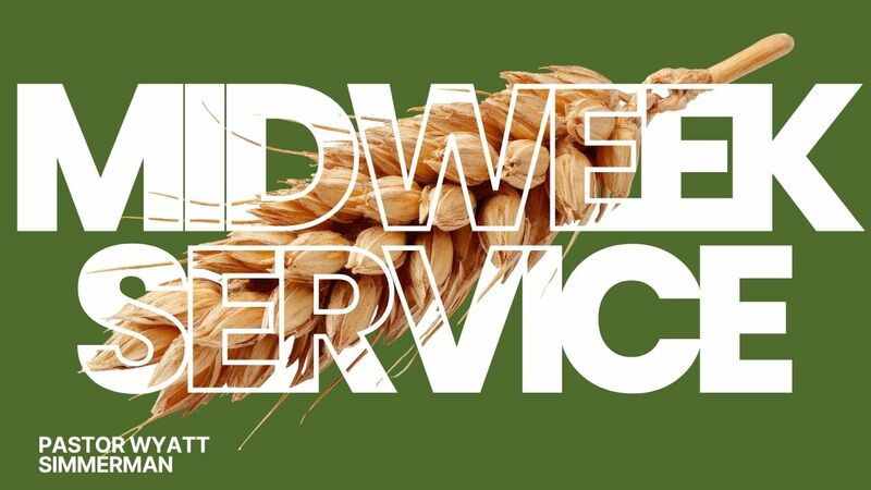 You Shall Know Them By Their Fruits