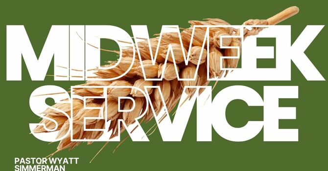 You Shall Know Them By Their Fruits