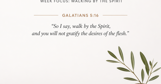 Choosing the Spirit Daily image