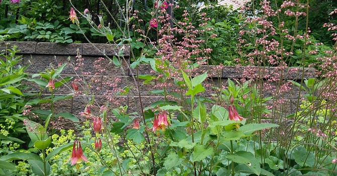 All Parish Garden Cleanup