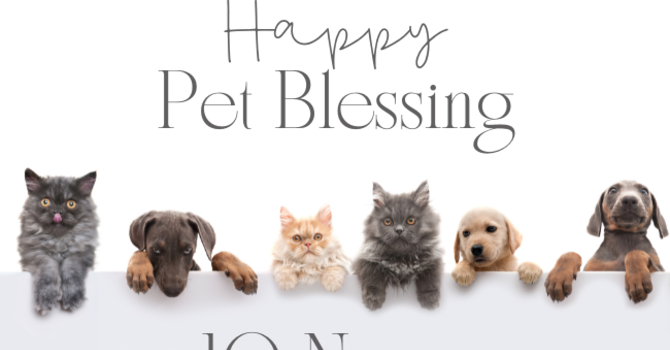 Pet Blessing