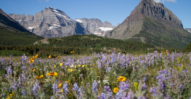 April 23, 2026 Devotion image