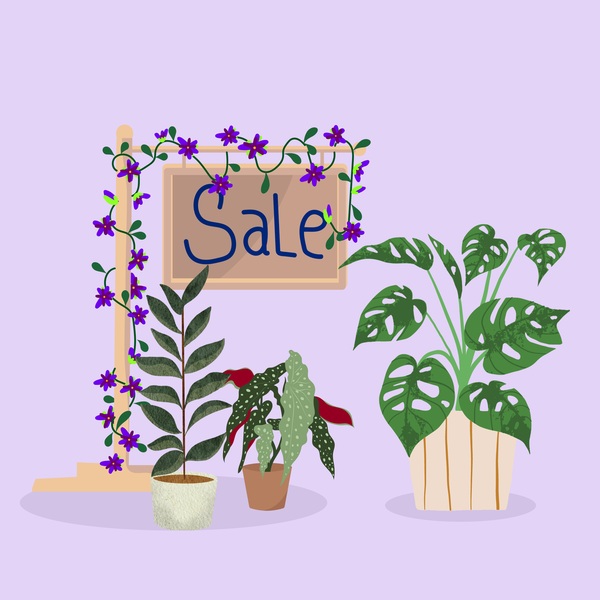PLANT SALE - LOOKING FOR DONATIONS