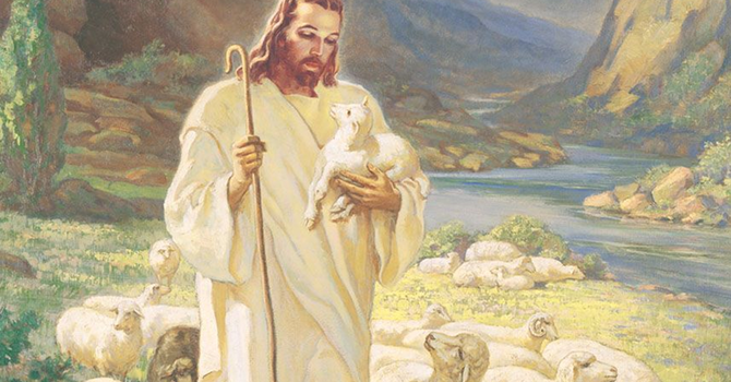 Worship for This Sunday...