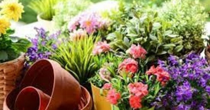 36th annual South Surrey Garden Club Plant Sale image