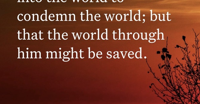 Forgiven and Free image