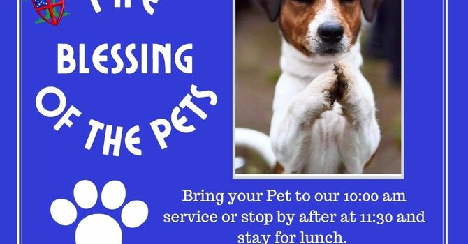 Blessing of the Animals