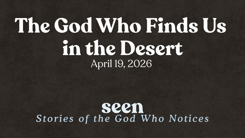 The God Who Finds Us in the Desert