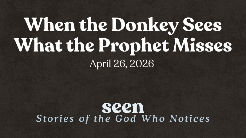 When the Donkey Sees What the Prophet Misses