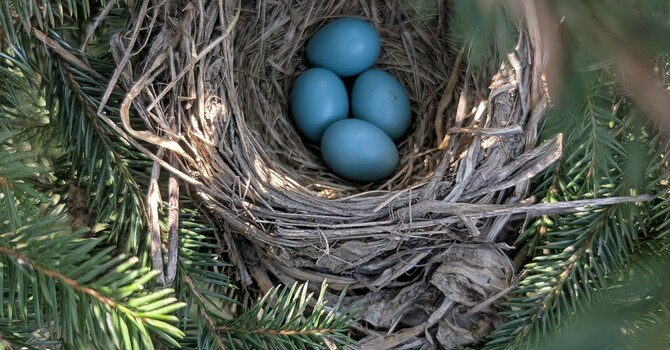 Passing the Peace - April 23, 2026