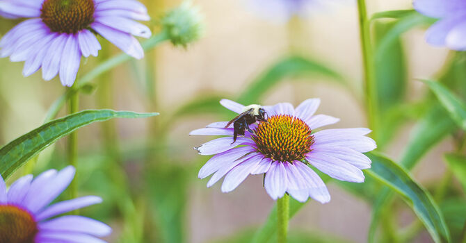 April's Shoreline image