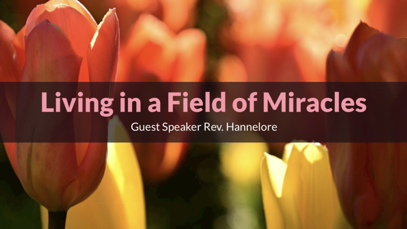 Living in a Field of Miracles