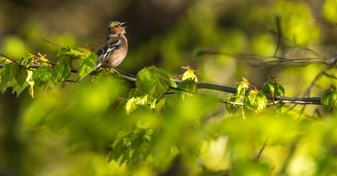 News for April 24, 2026