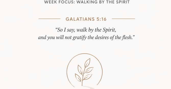 Overcoming the Flesh image