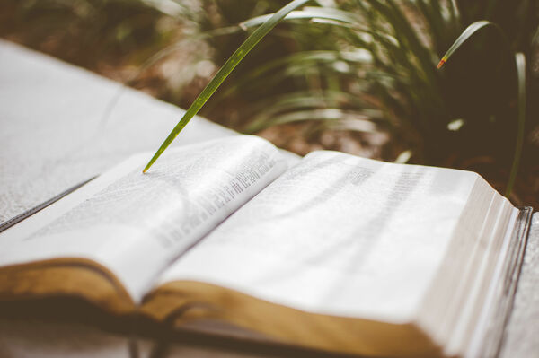 Family Matters: Seeing Your Household as a Gift From God