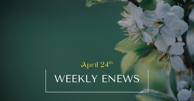 Weekly eNews: April 24, 2026 image