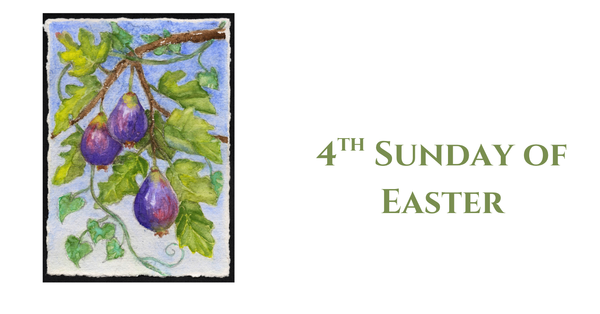 4th  Sunday of Easter