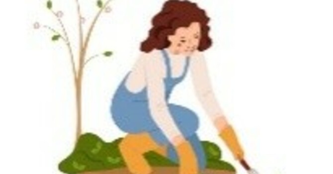 Garden Spring Clean-up