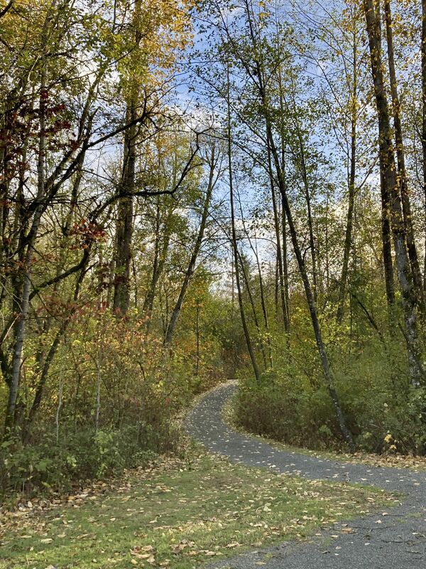 Pilgrimage Walk
