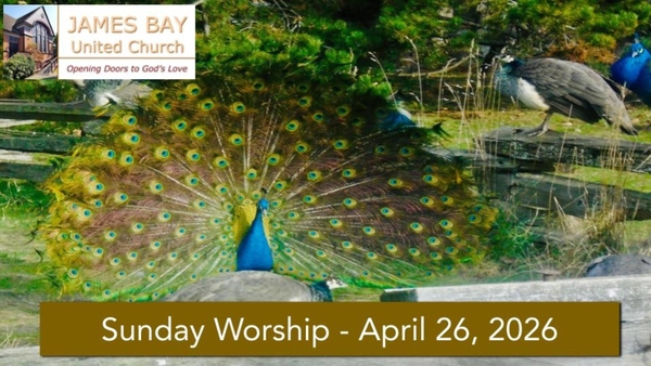 Sunday Worship: Celebrating Earth Day