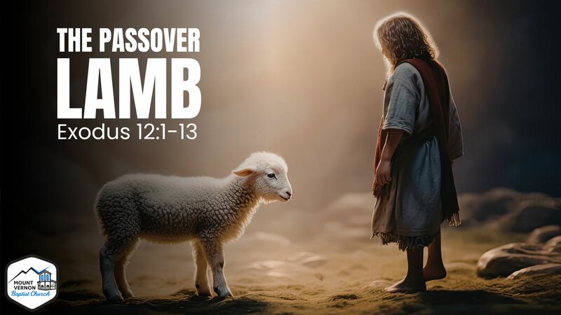 The Passover Lamb