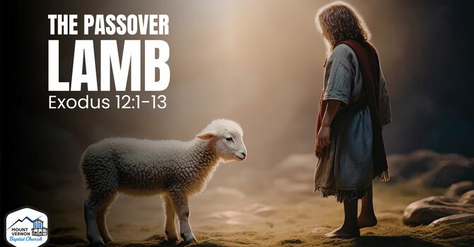 The Passover Lamb