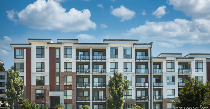 Spring Walk for Bankview