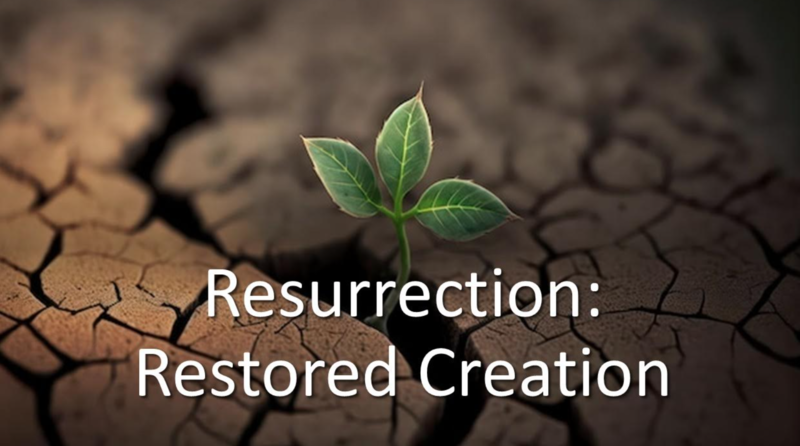 "Resurrection: Restored Creation"