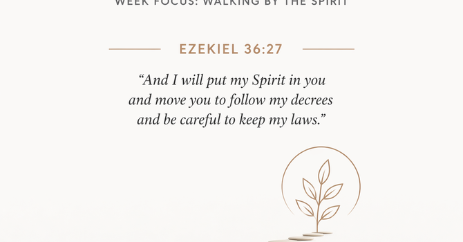 Forming New Patterns image