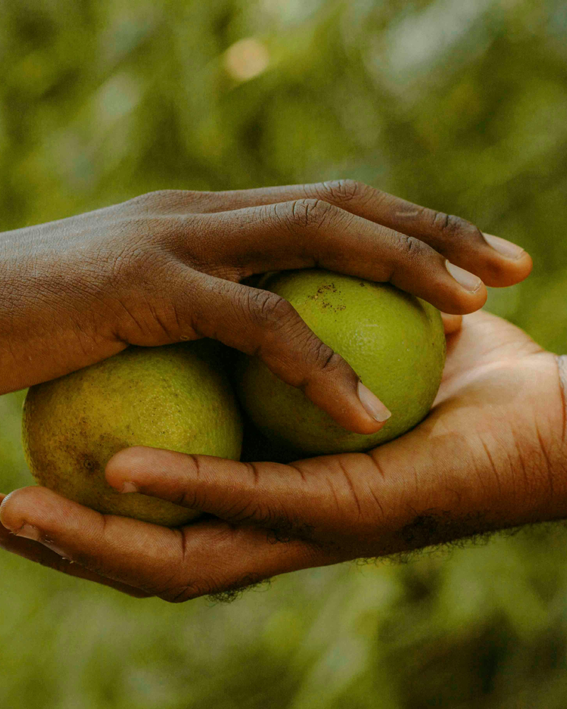 Having the Goodwill of all the People