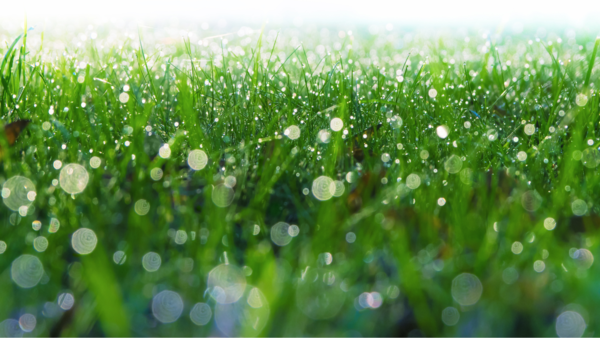 Join us this Sunday Morning Worship at 10:30am!