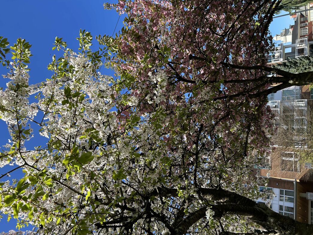 Slideshow image