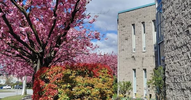 Office Closed Saturday, May 30