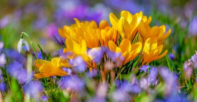 April 26, 2026 Devotion image