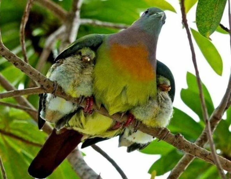 God's Protection