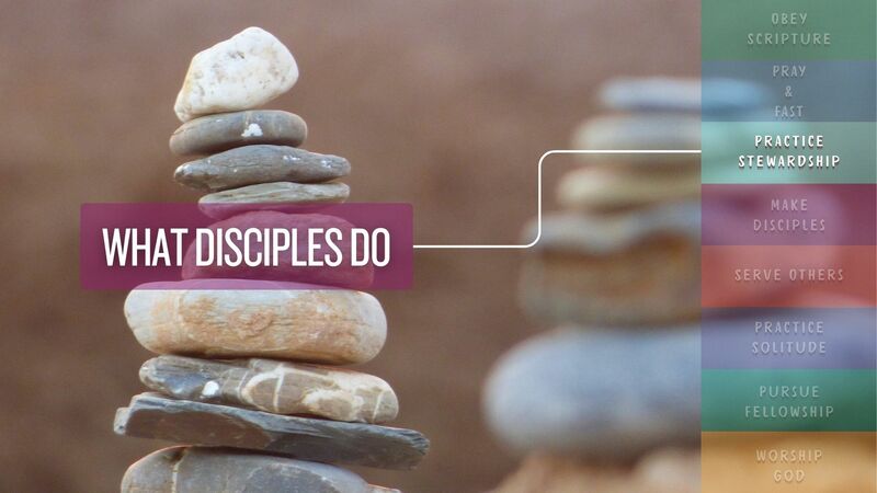 Practice Stewardship