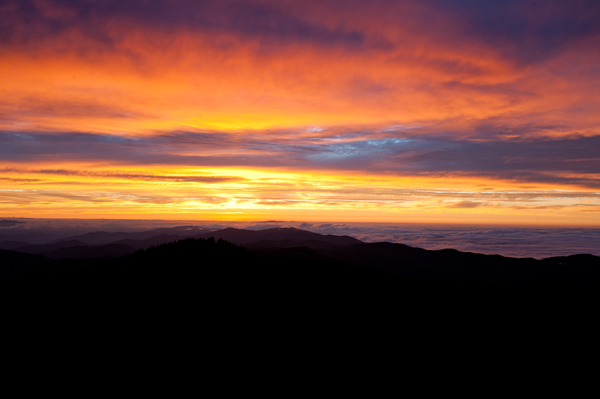 The Heart of the Matter