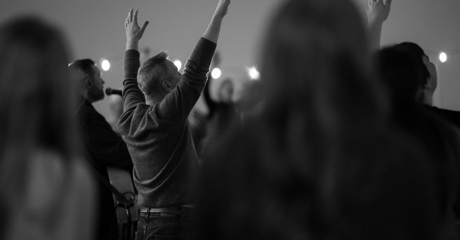 Local Elections image