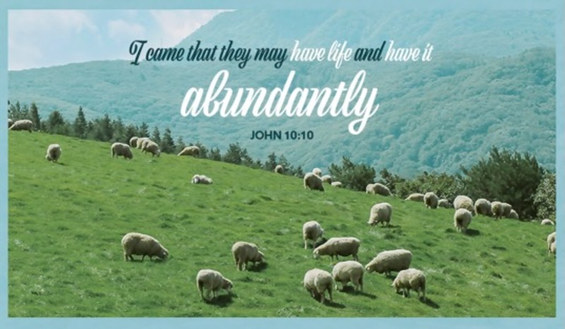 Fourth Sunday of Easter