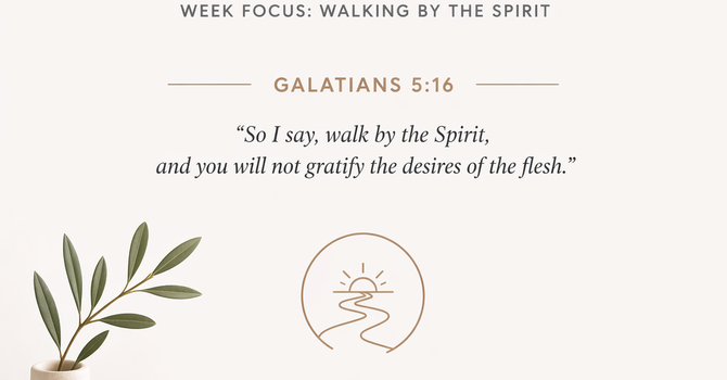 SUNDAY REFLECTION - Led, Not Driven image