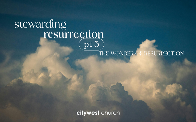 Stewarding Resurrection part 3